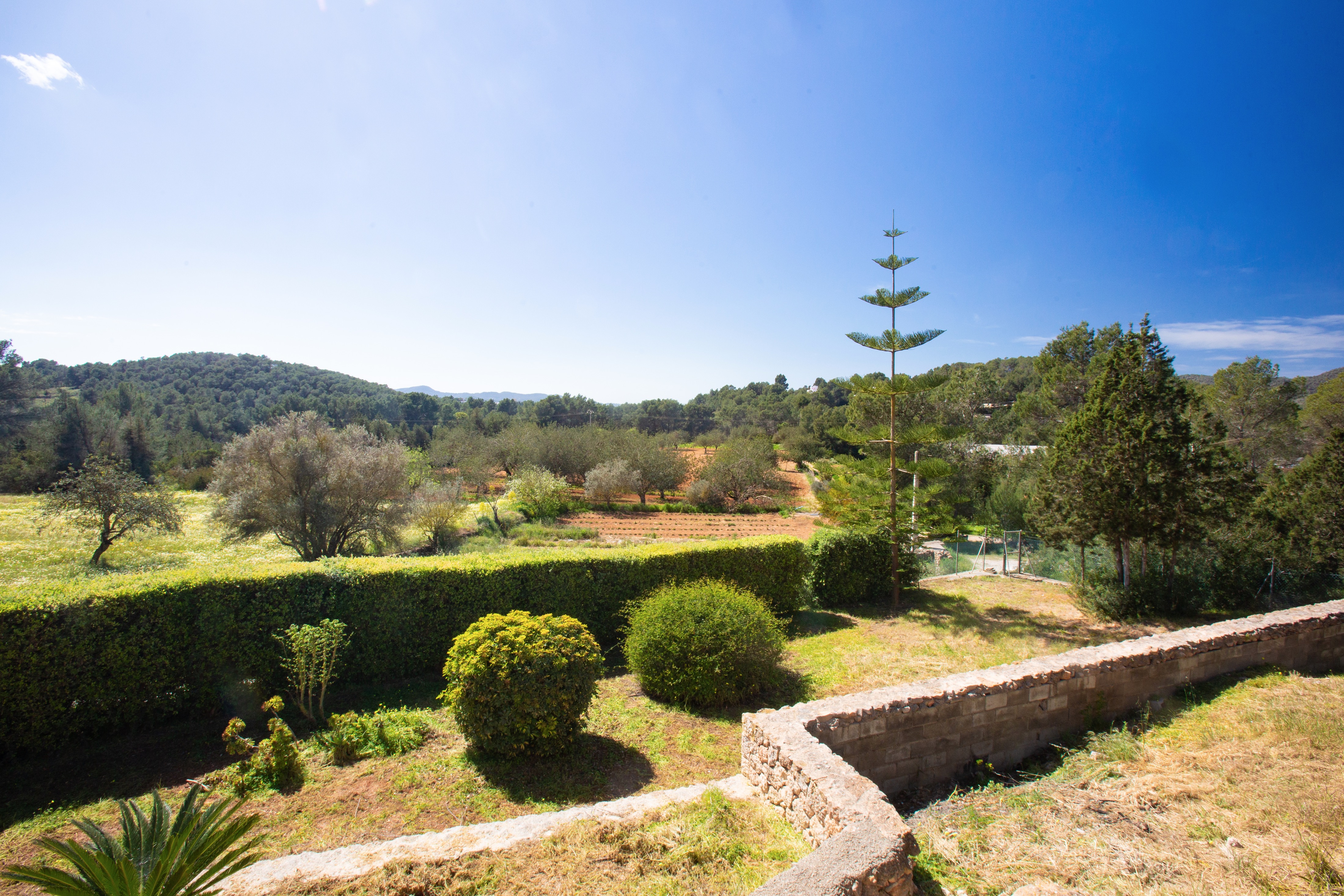 Villa  Can Titi Image No. 5
